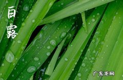 2023年白露冷不冷 2023年白露后气温会下降吗
