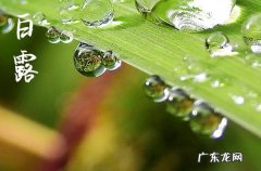 2023白露过后怎么还这么热 2023白露还热吗要热多久
