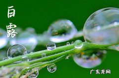 2023白露后天气还热吗 2023白露过后是否还有高温天气
