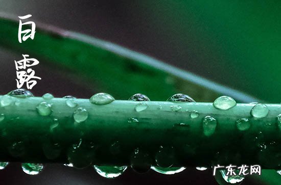 2023年9月8日是什么节气 2023年9月8日节气具体时间