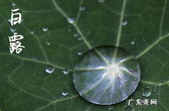 2023白露几时几分几秒 2023年白露倒计时还有多少天