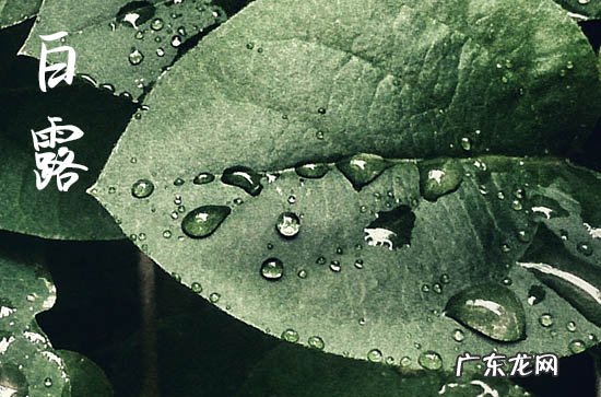 2023年白露什么时候 2023年白露是几月几日几点几分