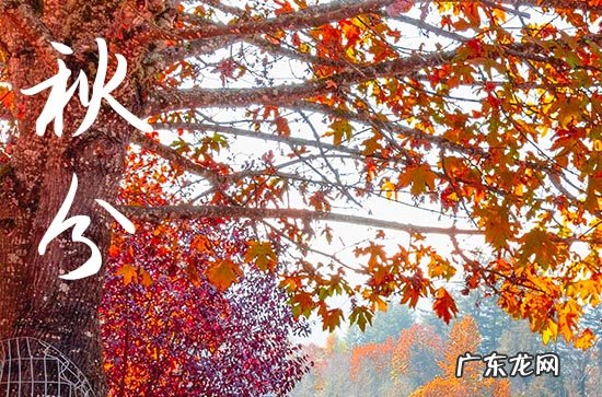 2023年秋分几点几分