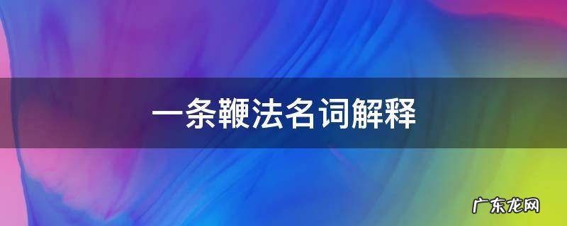 一条鞭法名词解释 牛鞭名词解释