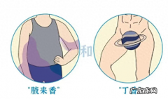 为什么说“男人臭，女人香”，异性流汗的味道，究竟有什么差别？