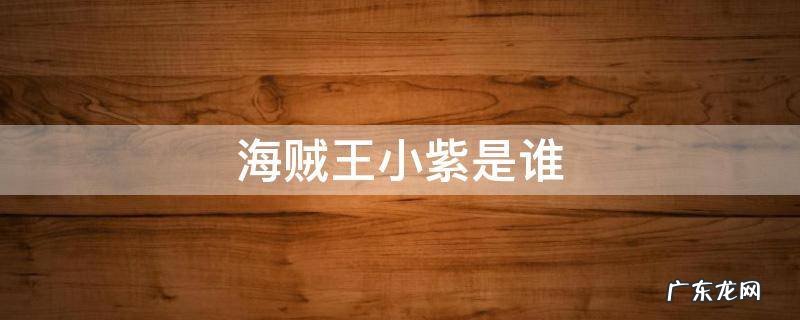 海贼王小紫全名 海贼王小紫是谁