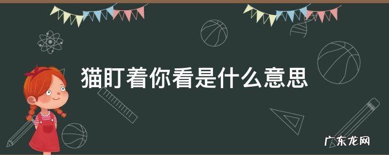 猫一直盯着你是什么意思 猫盯着你看是什么意思