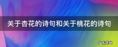 关于杏花的诗句和关于桃花的诗句 关于杏花的诗句和关于桃花的诗句