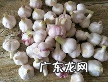 糖蒜的腌制方法家常