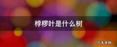 桲椤叶是什么树 桲椤叶是什么树图片