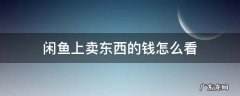 闲鱼上卖东西的钱怎么看 闲鱼上怎么看卖了多少东西