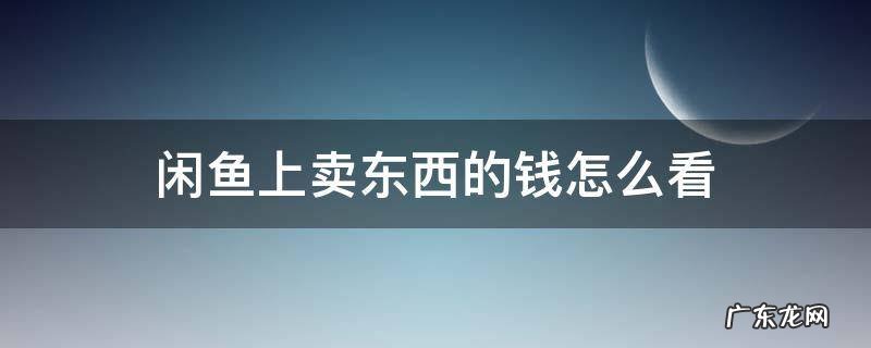 闲鱼上卖东西的钱怎么看 闲鱼上怎么看卖了多少东西