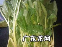 客家腌酸菜的做法