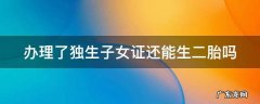 办理了独生子女证还能生二胎吗现在 办理了独生子女证还能生二胎吗