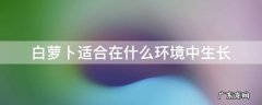 白萝卜适合在什么环境中生长 白萝卜适合生长的温度