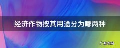 经济作物按其用途分为哪两种 经济作物按其用途分为什么作物和什么作物