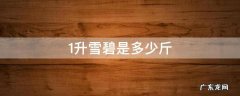 1升雪碧是多少斤 雪碧1l是多少斤