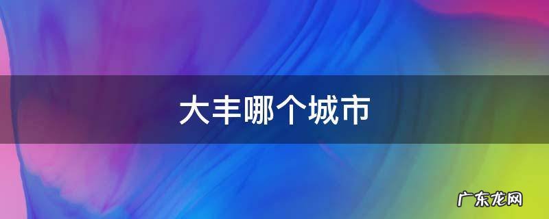 大丰哪个城市 大丰区还是大丰市