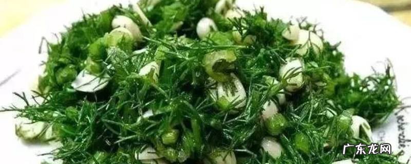 怎么吃茴香 茴香怎么吃