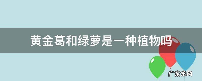 黄金葛和绿萝是一种植物吗 绿萝的别称是不是就是黄金葛
