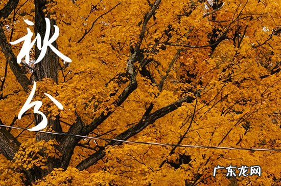 2023年秋分是哪一天