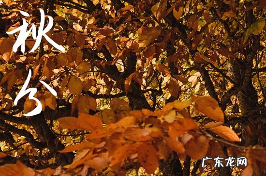 2023年秋分是几月几号
