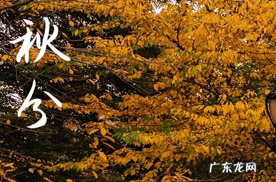 2023年秋分是几月几日几点几分,2023年秋分几月几日