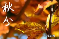 今年秋分是几月几日几点2023