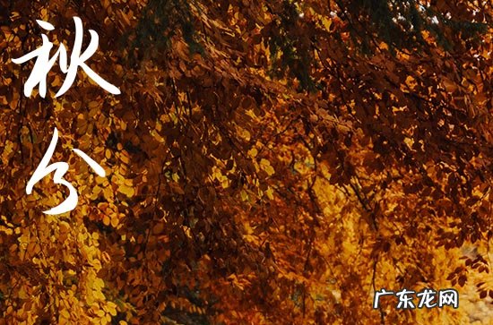 今年秋分是几月几日几时2023