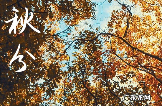 2023年农历几月秋分