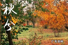 2023年秋分的时间是农历几月几日