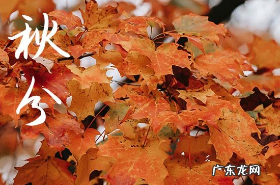 23年什么时候秋分,2023年秋分是什么时候