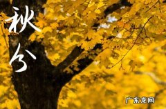 2023年什么时候秋分几点秋分