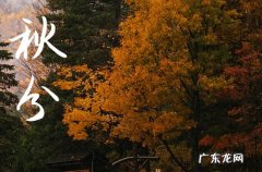 秋分2023年哪一天