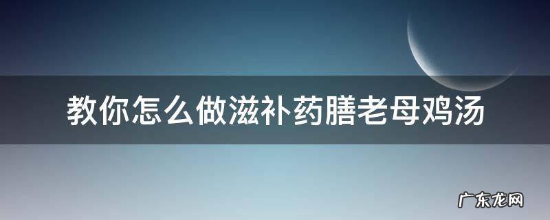 老母鸡滋补汤的做法 教你怎么做滋补药膳老母鸡汤