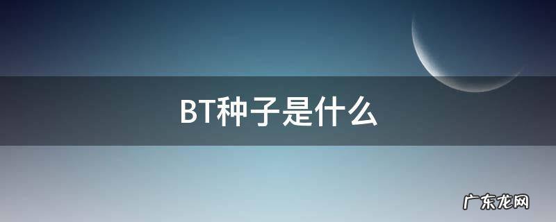 BT种子是什么 bt种子是什么原理