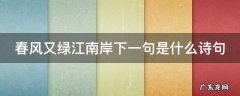 春风又绿江南岸下一句是什么诗句 春风又绿江南岸下一句是什么诗句呢