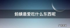 蚂蟥最爱吃什么东西呢 蚂蟥喜欢吃什么东西