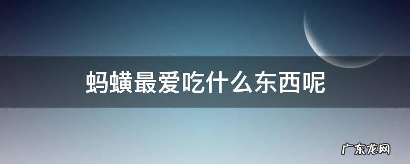 蚂蟥最爱吃什么东西呢 蚂蟥喜欢吃什么东西
