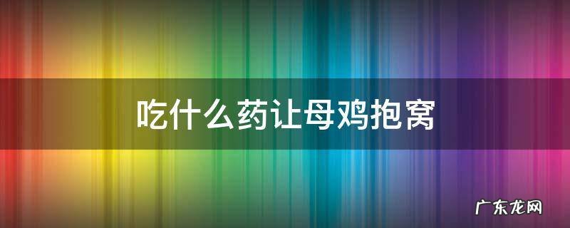 老母鸡抱窝吃什么药 吃什么药让母鸡抱窝