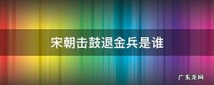 宋朝击鼓退金兵是谁? 宋朝击鼓退金兵是谁