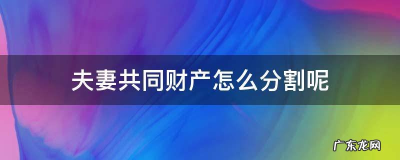 夫妻共有财产分割 夫妻共同财产怎么分割呢