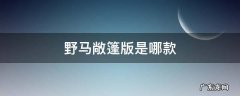 野马哪个版本可以敞篷 野马敞篷版是哪款