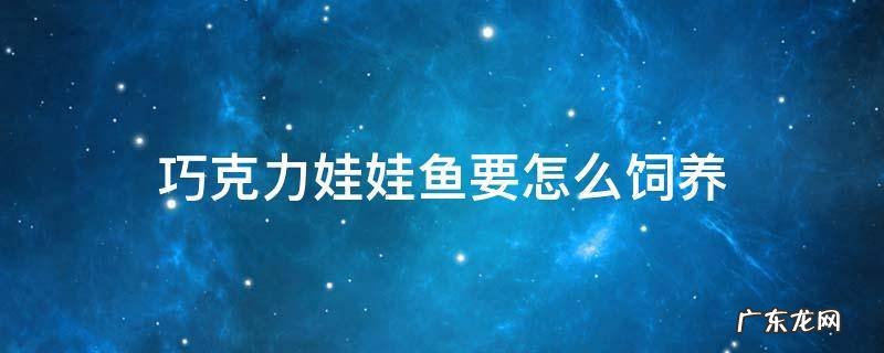 巧克力娃娃鱼如何繁殖 巧克力娃娃鱼要怎么饲养