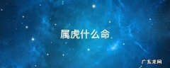 属虎什么命金木水火土 属虎什么命
