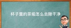 杯子里的茶垢怎么去除干净 杯子的茶垢怎么清除