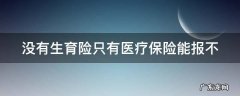 没有生育险只有医疗保险能报不 没有生育险只有医疗保险能报多少