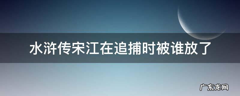 宋江是被谁抓走的 水浒传宋江在追捕时被谁放了
