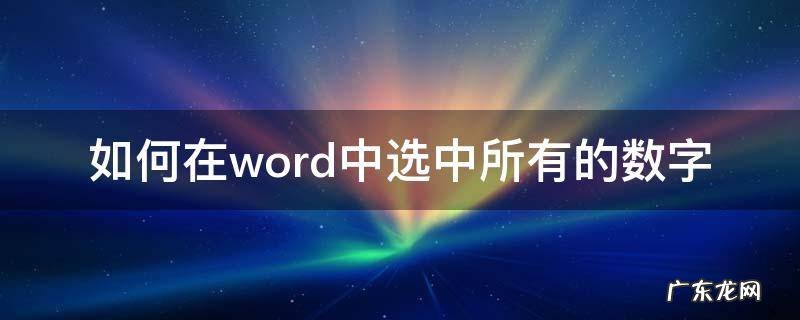 如何在word中选中所有的数字 怎么在word中选中所有数字