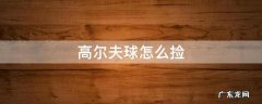 高尔夫球怎么捡 高尔夫球场的球都是怎么捡的?
